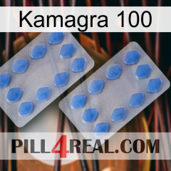 Kamagra 100 20